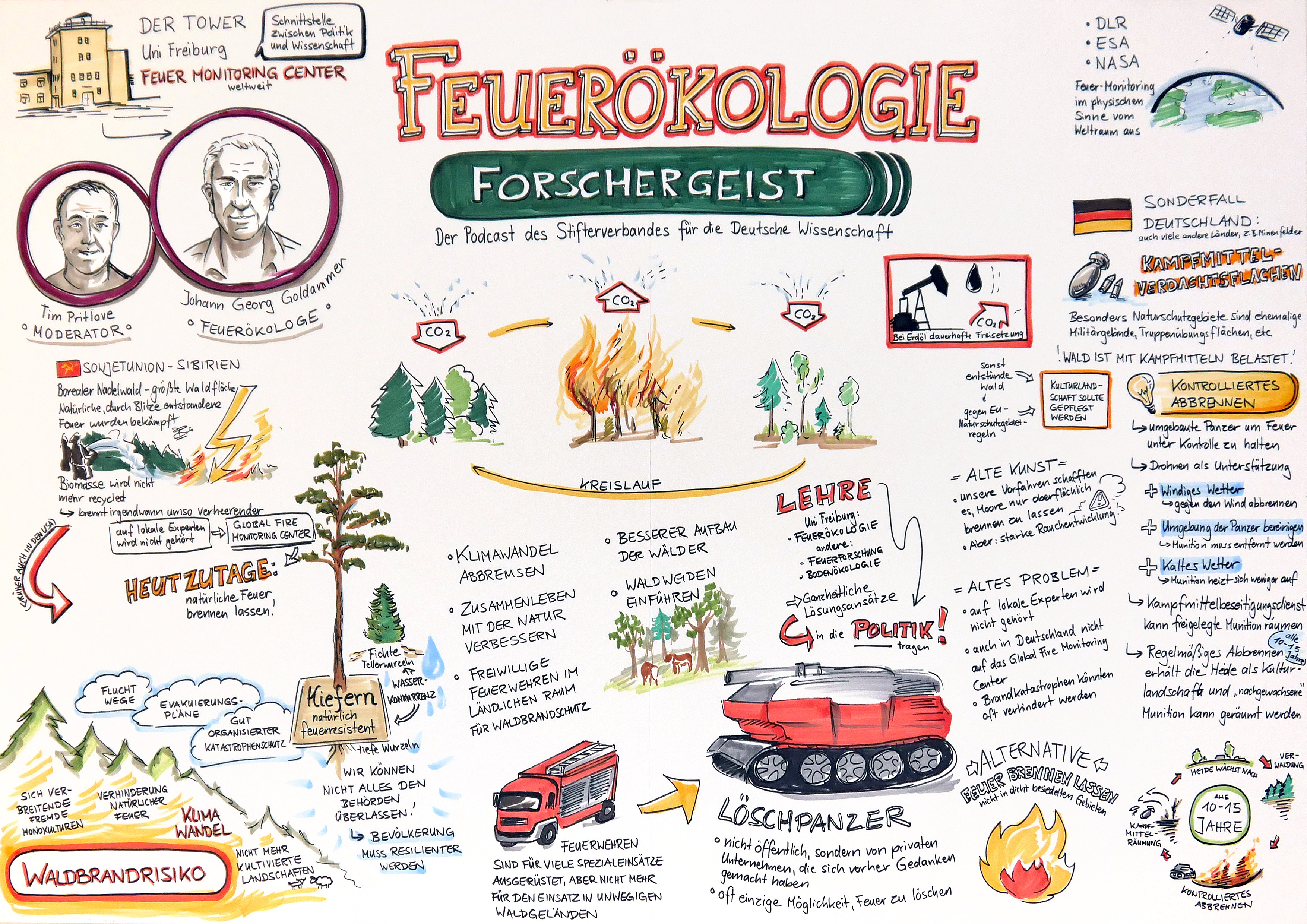 Feuerökologie - Graphic Recording